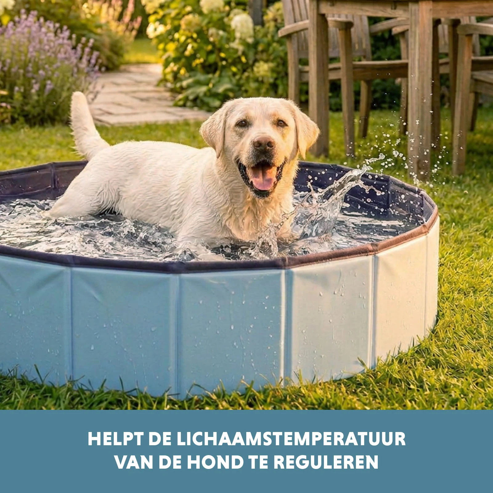 Piscină pliabilă pentru câini, cu fund antiderapant, ø 80 x 20 cm – Coolpets Splash Dog Pool - imagine 6