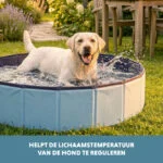 Piscină pliabilă pentru câini, cu bază antiderapantă, ø 100 x 30 cm – Coolpets Splash Dog Pool - imagine 6