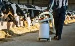 Cărucior pentru pompa de drenaj, cu suporturi pentru rezervor și furtun, pliabil, 100 cm – Excellent Cow Drencher - imagine 2