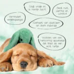 Jucărie de pluș pentru câini, iepure cu bătăi de inimă și săculeț încălzibil, verde, 30 x 20 cm – Cozy Dog Bunny - imagine 3