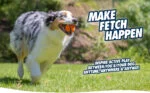 Minge pentru câini din cauciuc, Ø 6 cm, 2 bucăți – Chuckit! Fetch Ball M - imagine 3