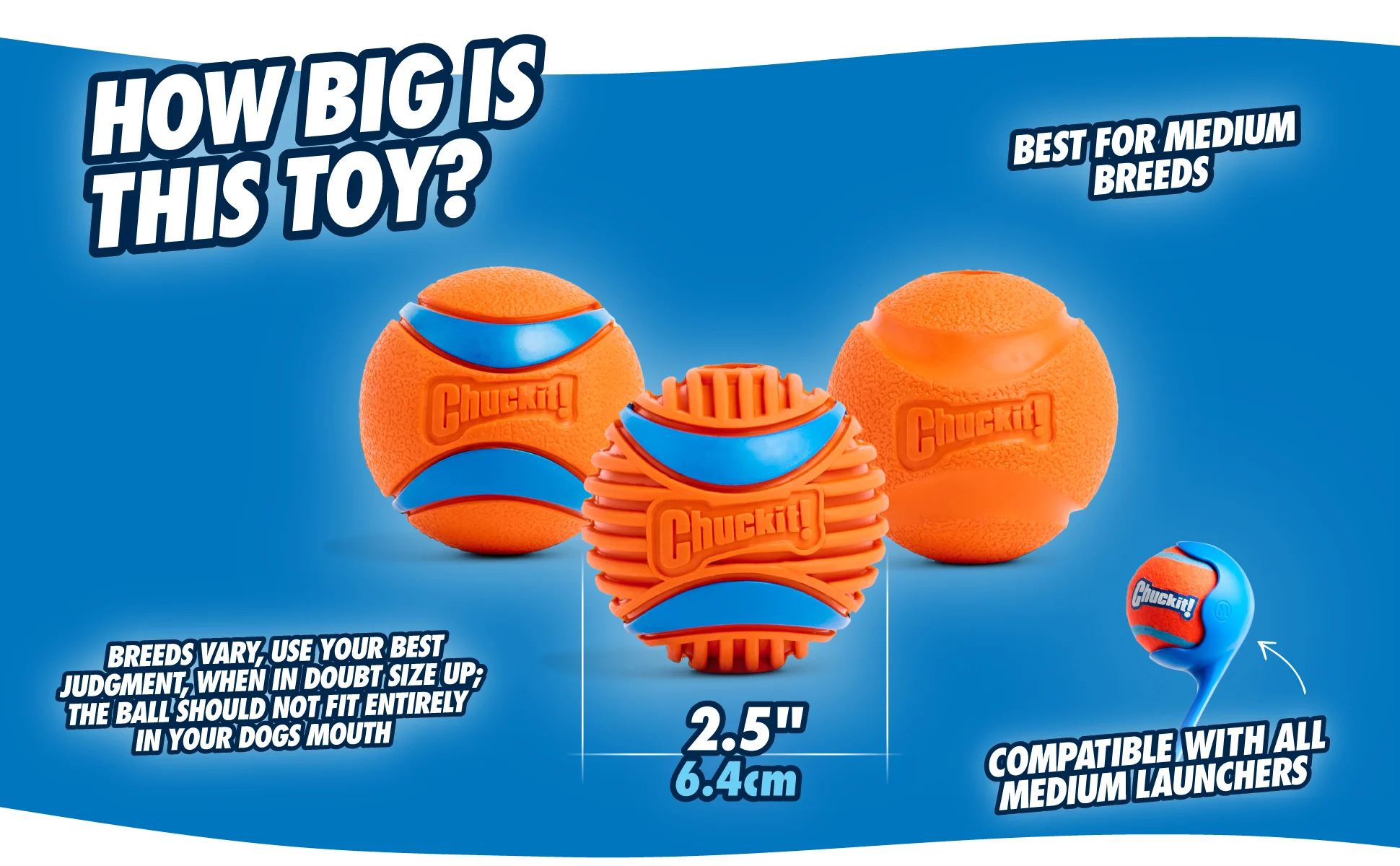 Minge pentru câini din cauciuc, Ø 6 cm – Chuckit! Fetch Ball M - imagine 4