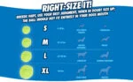 Mingi pentru aport pentru câini, 3 bucăți, Ø 6 cm – Chuckit! Fetch Medley Gen 3 - imagine 4