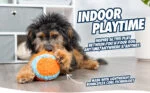 Jucărie de interior pentru câini cu buclă, 11,5 x 13 x 20 cm – Chuckit! Indoor Shaker - imagine 2