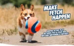 Minge de fotbal pentru câini, cu adâncituri din cauciuc, Ø 14 cm – Chuckit! Kick Fetch Dog S - imagine 6