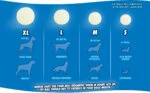 Minge din cauciuc pentru câini, luminoasă, Ø 6 cm – Chuckit! Max Glow M - imagine 5