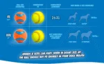 Minge din cauciuc pentru câini L, ø 7 cm, plutitoare – Chuckit! Ultra Ball - imagine 6
