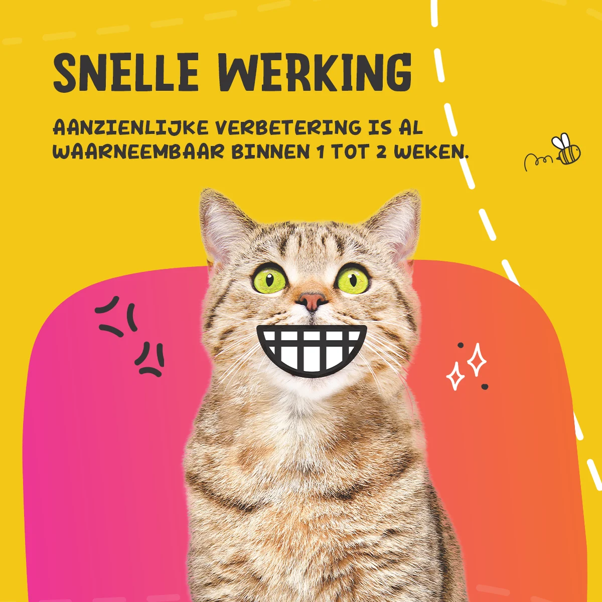 Pulbere pentru igiena dentară a câinilor și pisicilor, 60 g – Excellent Pets Dental Oral Care - imagine 5