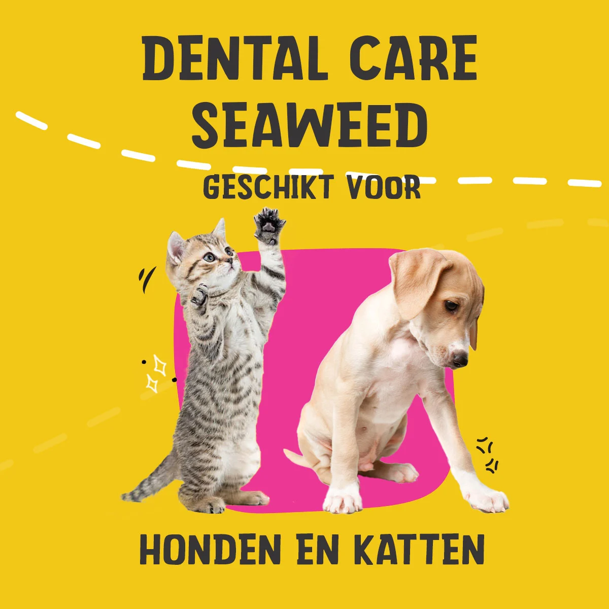 Supliment pentru dinți pentru câini și pisici, 150 g – Excellent Pets Dental Care Seaweed - imagine 2