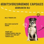 Capsule pentru igiena dentară a câinilor, 90 de bucăți – Excellent Pets Dental Oral Care Capsules - imagine 4