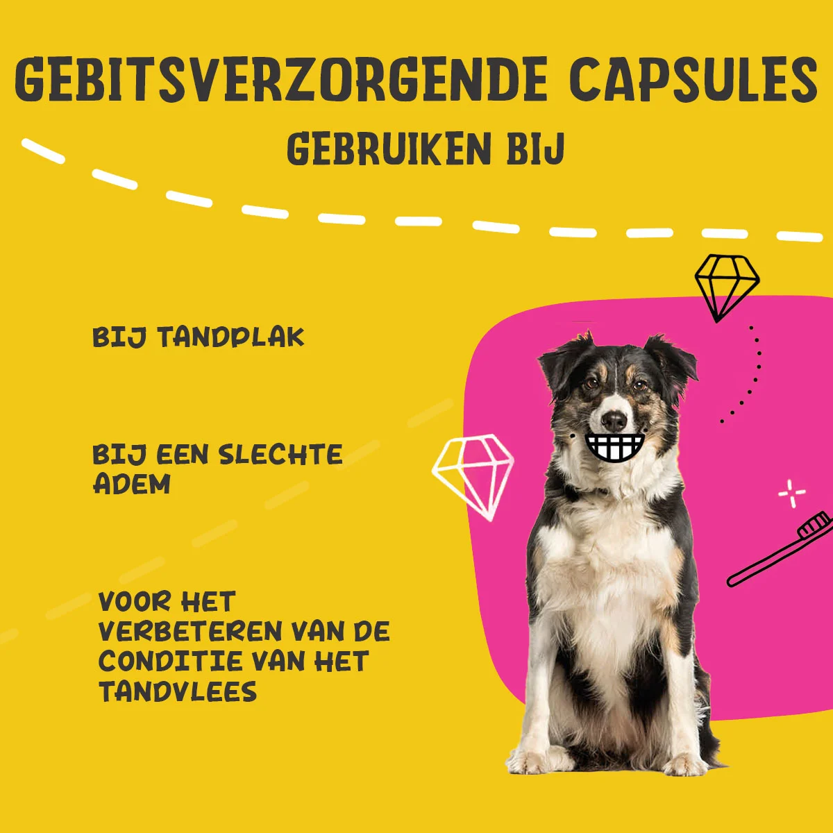 Capsule pentru igiena dentară a câinilor, 90 de bucăți – Excellent Pets Dental Oral Care Capsules - imagine 4