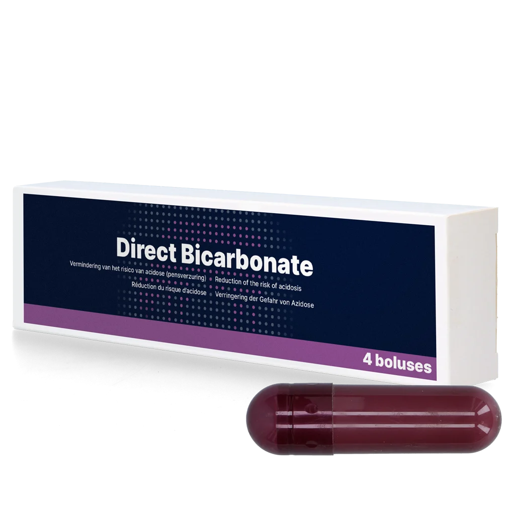 Bolus cu bicarbonat pentru vaci de lapte, 4 x 116 g – Direct Bolus Bicarbonate - imagine 1