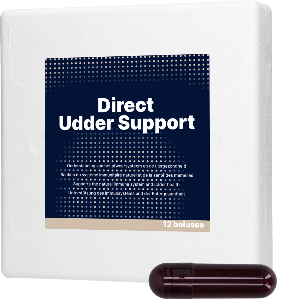 Bolus pentru uger la vacile de lapte, cu usturoi negru, 12 x 60 g – Direct Bolus Udder Support - imagine 1