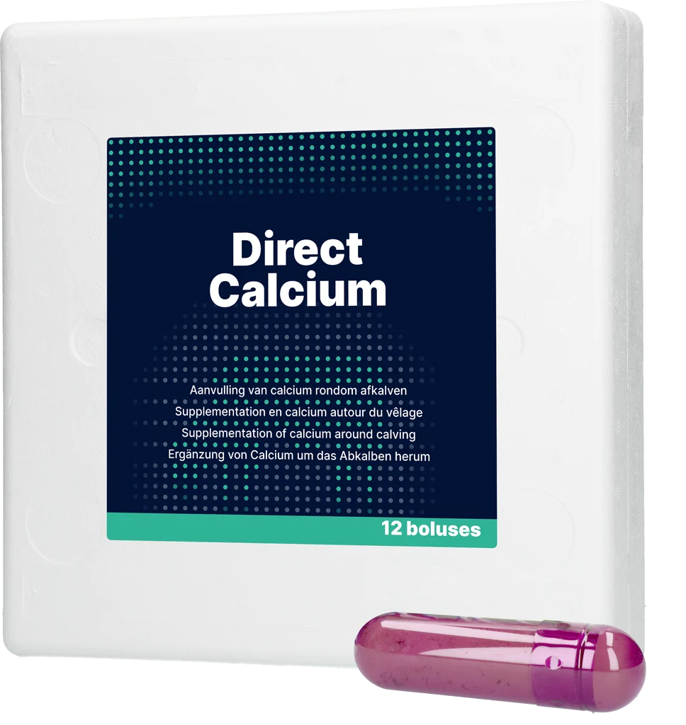 DIRE013.png Bolusă de calciu pentru vacile de lapte, 12 x 94 g – Direct Bolus Calcium - imagine 1