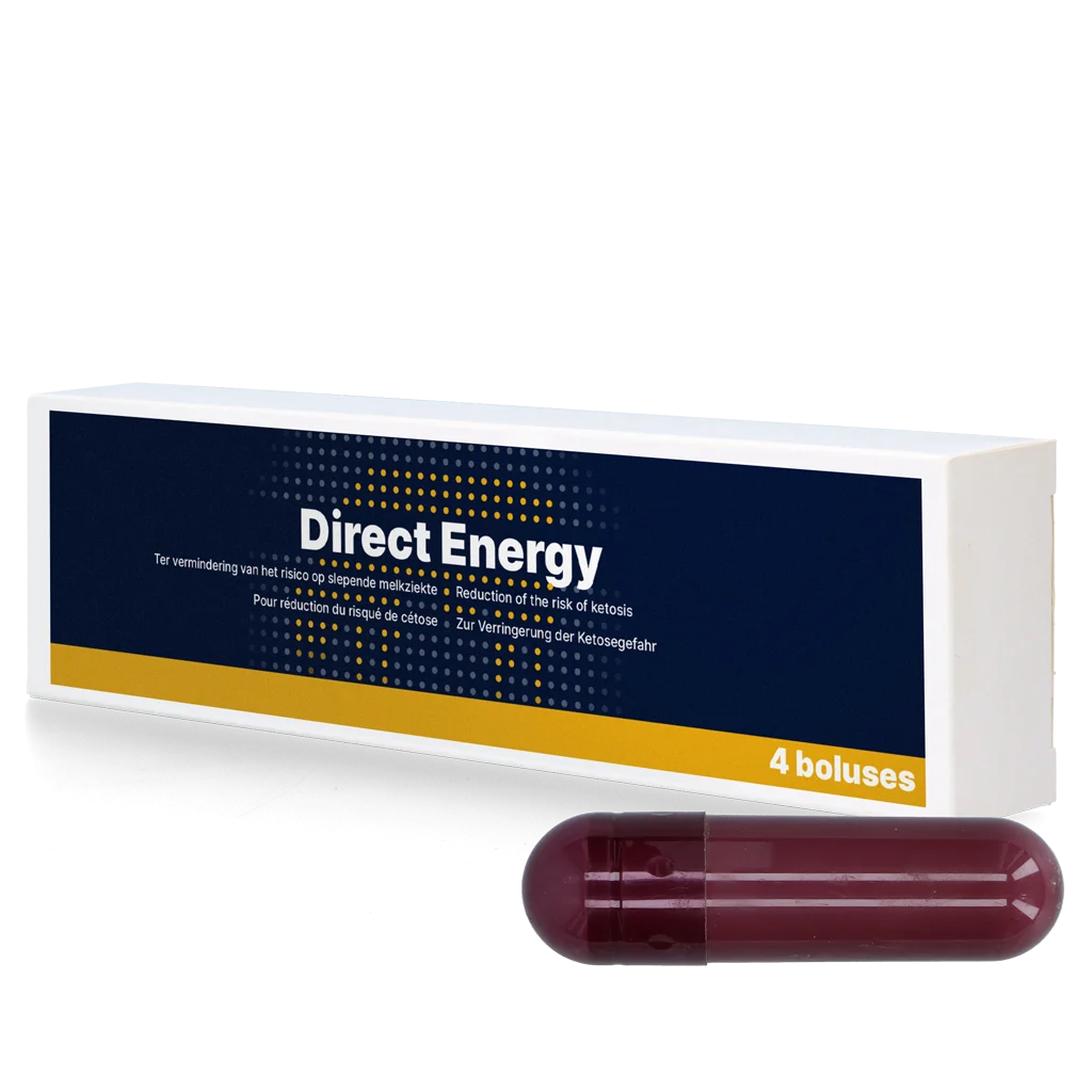 Bolus energetic pentru vaci de lapte, cu vitamine și minerale, 4 x 67 g – Direct Bolus Energy - imagine 1