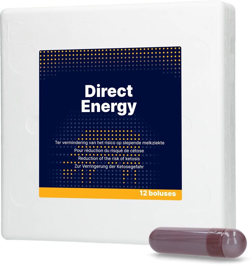 Bolus energetic pentru vaci de lapte, cu vitamine și minerale, 12 x 67 g – Direct Bolus Energy - imagine 1