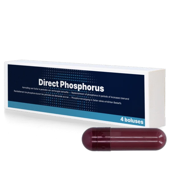 Bolus cu fosfor pentru vaci, 4 x 123 g – Direct Bolus Phosphorus