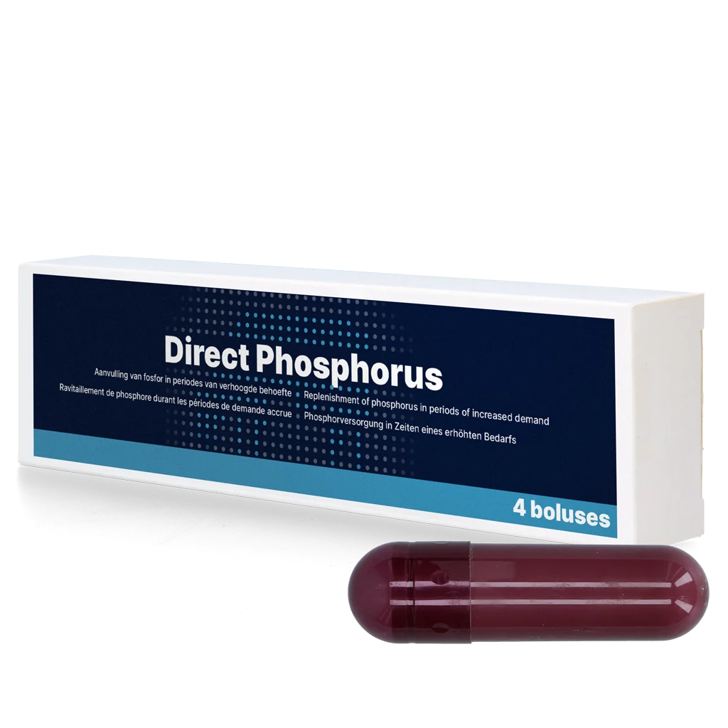 Bolus cu fosfor pentru vaci, 4 x 123 g – Direct Bolus Phosphorus - imagine 1