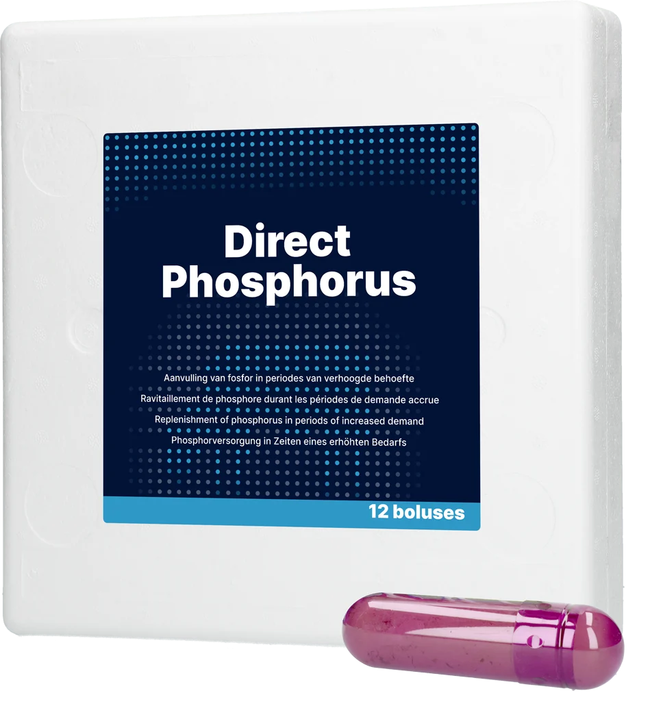 DIRE017.png Bolus cu fosfor pentru vaci, 12 x 123 g – Direct Bolus Phosphorus - imagine 1