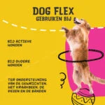 Supliment lichid pentru articulațiile câinilor, 500 ml – Excellent Pets Dog Flex - imagine 6