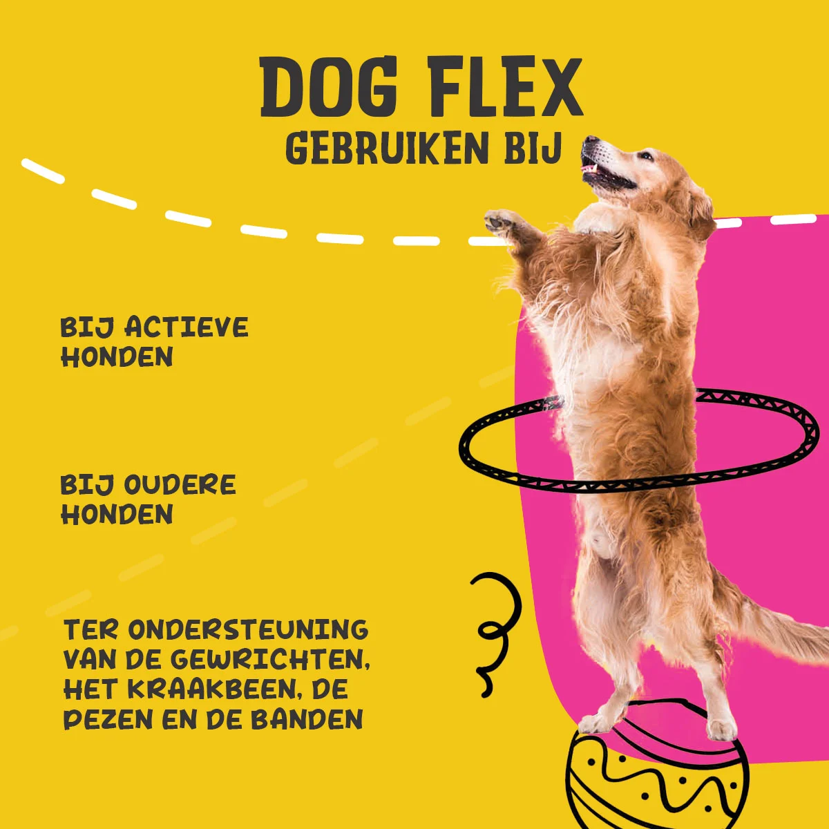 Supliment lichid pentru articulațiile câinilor, 500 ml – Excellent Pets Dog Flex - imagine 6