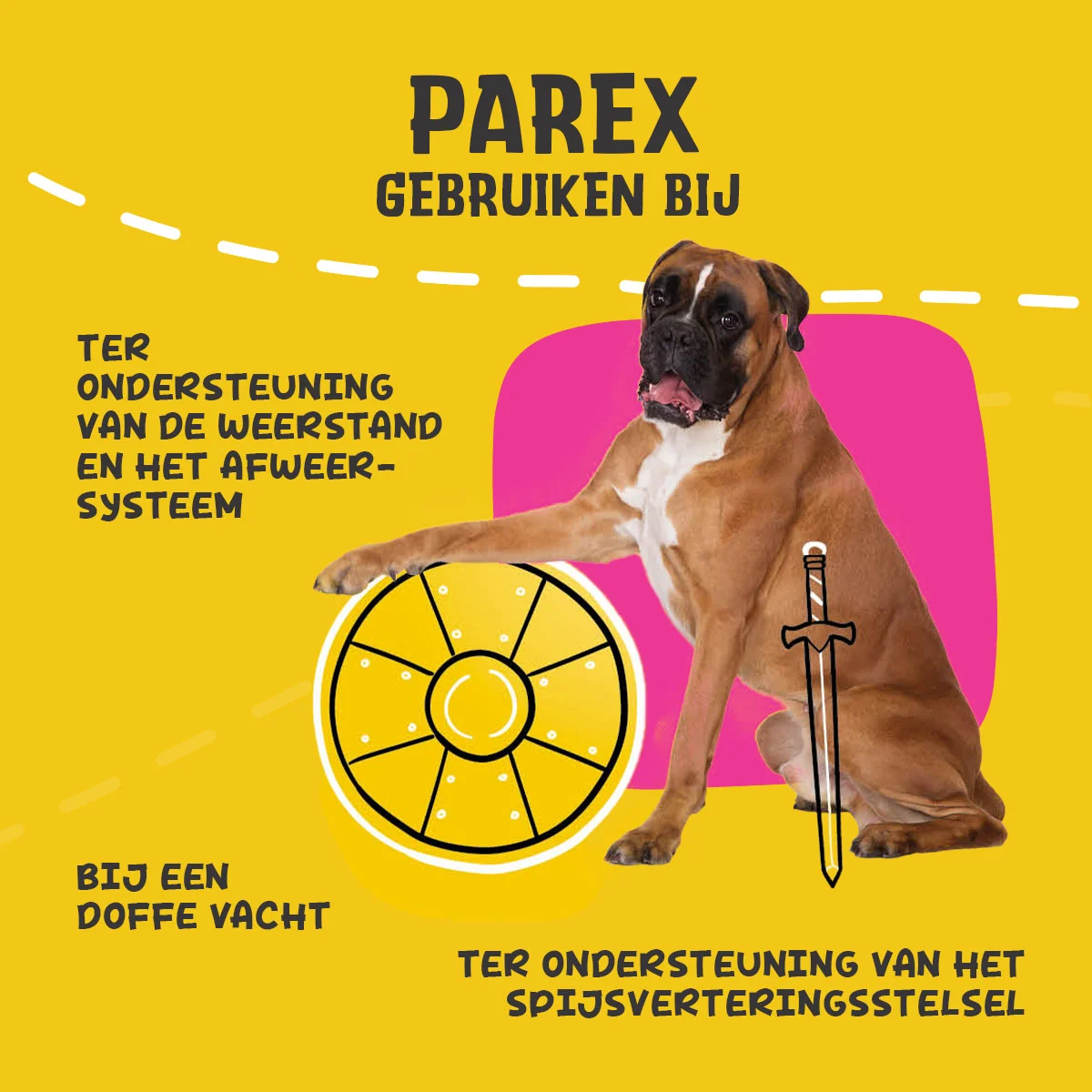 Supliment pentru câini cu prebiotice, sub formă de crochete, 90 g – Excellent Pets Dog Parex - imagine 6