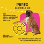 Supliment pentru câini cu prebiotice, sub formă de granule, 630 g – Excellent Pets Dog Parex - imagine 6