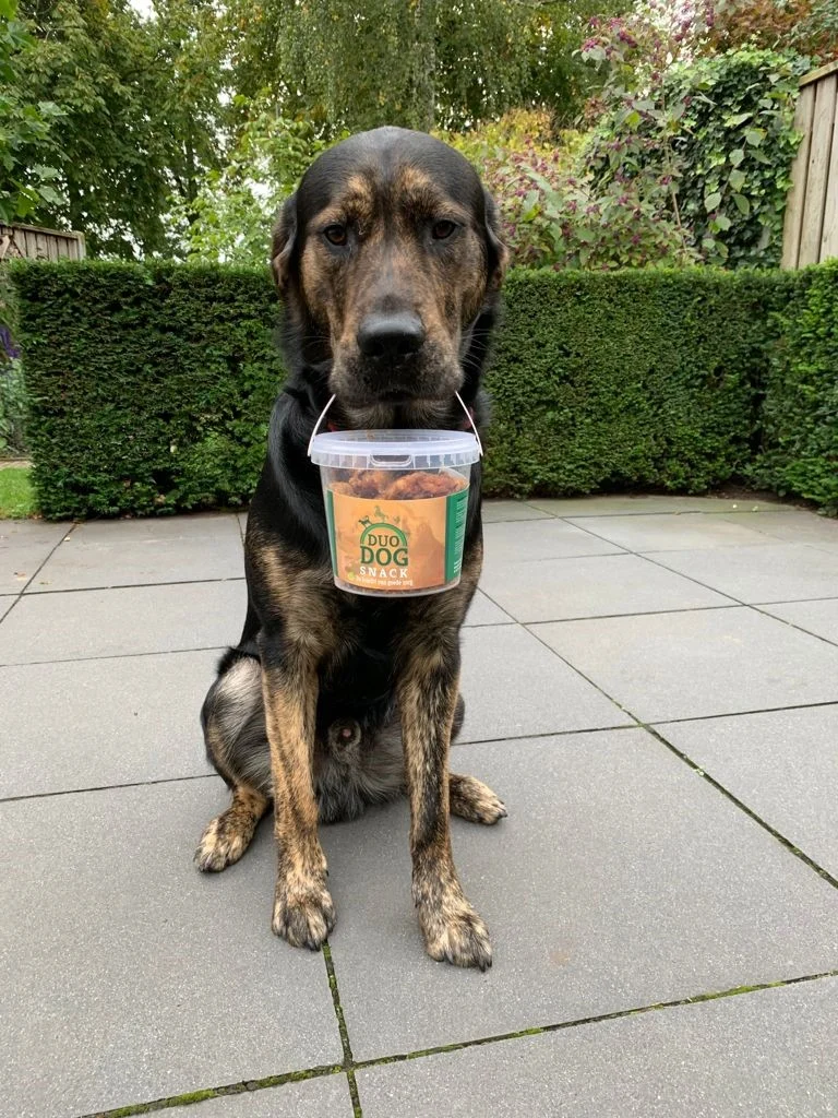 Gustare pentru câini din 100% grăsime de cal topită, aprox. 350 g – Duo Dog Snack - imagine 2
