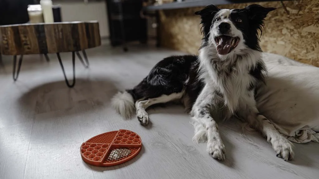 Covoraș rotund de lins cu compartimente adânci, roșu, ø 21 cm – Eat Slow Live Longer Lick Mat Dimensions Circle - imagine 5