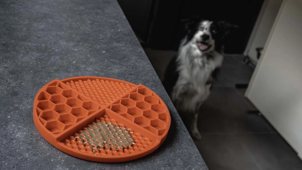 Covoraș rotund de lins cu compartimente adânci, roșu, ø 21 cm – Eat Slow Live Longer Lick Mat Dimensions Circle - imagine 6