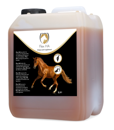 Supliment pentru articulațiile cailor cu glucozamină și MSM, 2,5 l – Excellent Horse Flex HA