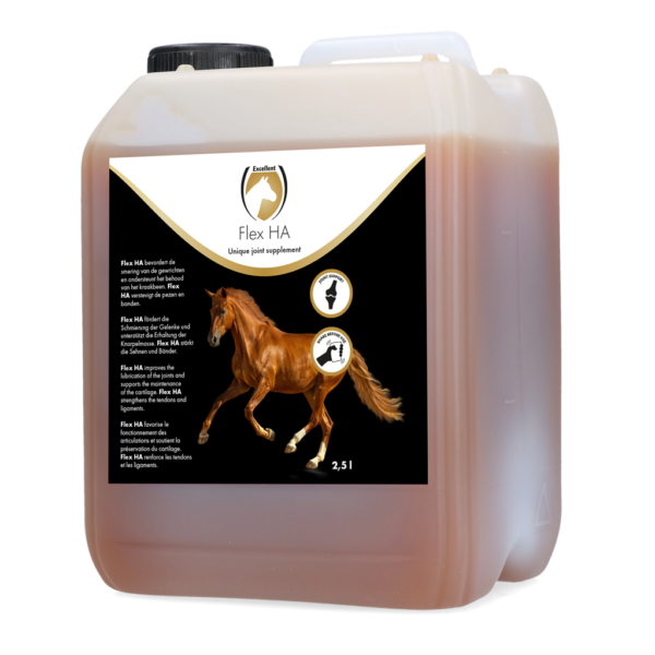 Supliment pentru articulațiile cailor cu glucozamină și MSM, 2,5 l – Excellent Horse Flex HA