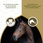Supliment pentru igiena dentară a cailor, cu legume și plante aromatice uscate, 1 kg – Excellent Horse Dental Care - imagine 3