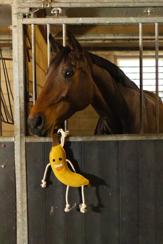 Jucărie de grajd pentru cai, din piele, cu umplutură din iută, banană, 40 x 12 x 5 cm – Excellent Horse Foodie Friends Banana - imagine 3