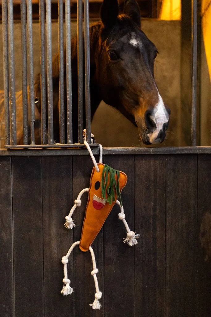 Jucărie de grajd pentru cai, din piele, cu umplutură din iută, morcov, 40 x 16 x 5 cm – Excellent Horse Foodie Friends Carrot - imagine 3