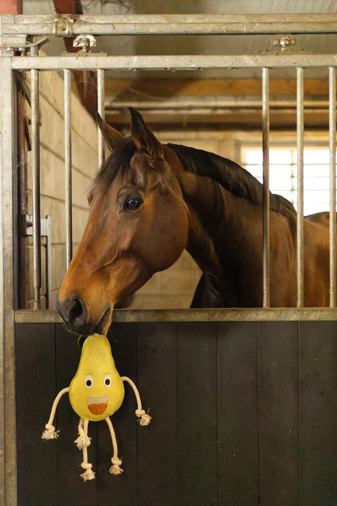 Jucărie de grajd pentru cai, din piele, cu umplutură din iută, pară, 28 x 18 x 7 cm – Excellent Horse Foodie Friends Pear - imagine 4
