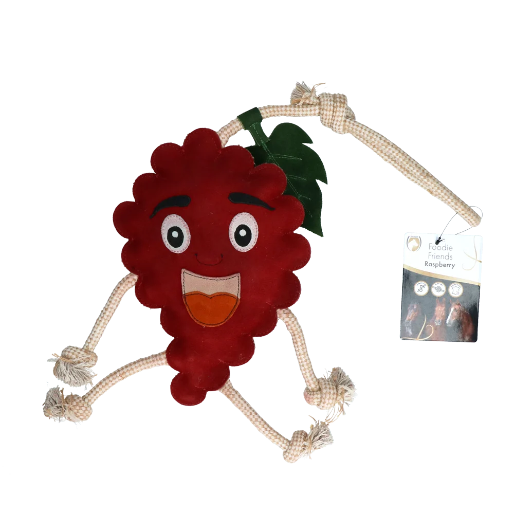 Jucărie pentru cal în formă de zmeură, cu umplutură din iută, 29 x 20 x 5 cm – Excellent Horse Foodie Friends Raspberry - imagine 1