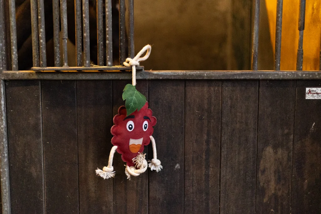 Jucărie pentru cal în formă de zmeură, cu umplutură din iută, 29 x 20 x 5 cm – Excellent Horse Foodie Friends Raspberry - imagine 3
