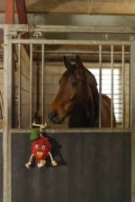 Jucărie pentru cal în formă de zmeură, cu umplutură din iută, 29 x 20 x 5 cm – Excellent Horse Foodie Friends Raspberry - imagine 4