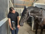 Biscuiți pentru cai cu măr, 500 g – Excellent Horse biscuiți artizanali pentru cai cu măr - imagine 4
