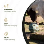 Minge pentru hrană pentru cai, cu orificii, verde – Excellent Horse Feed & Play Ball - imagine 6