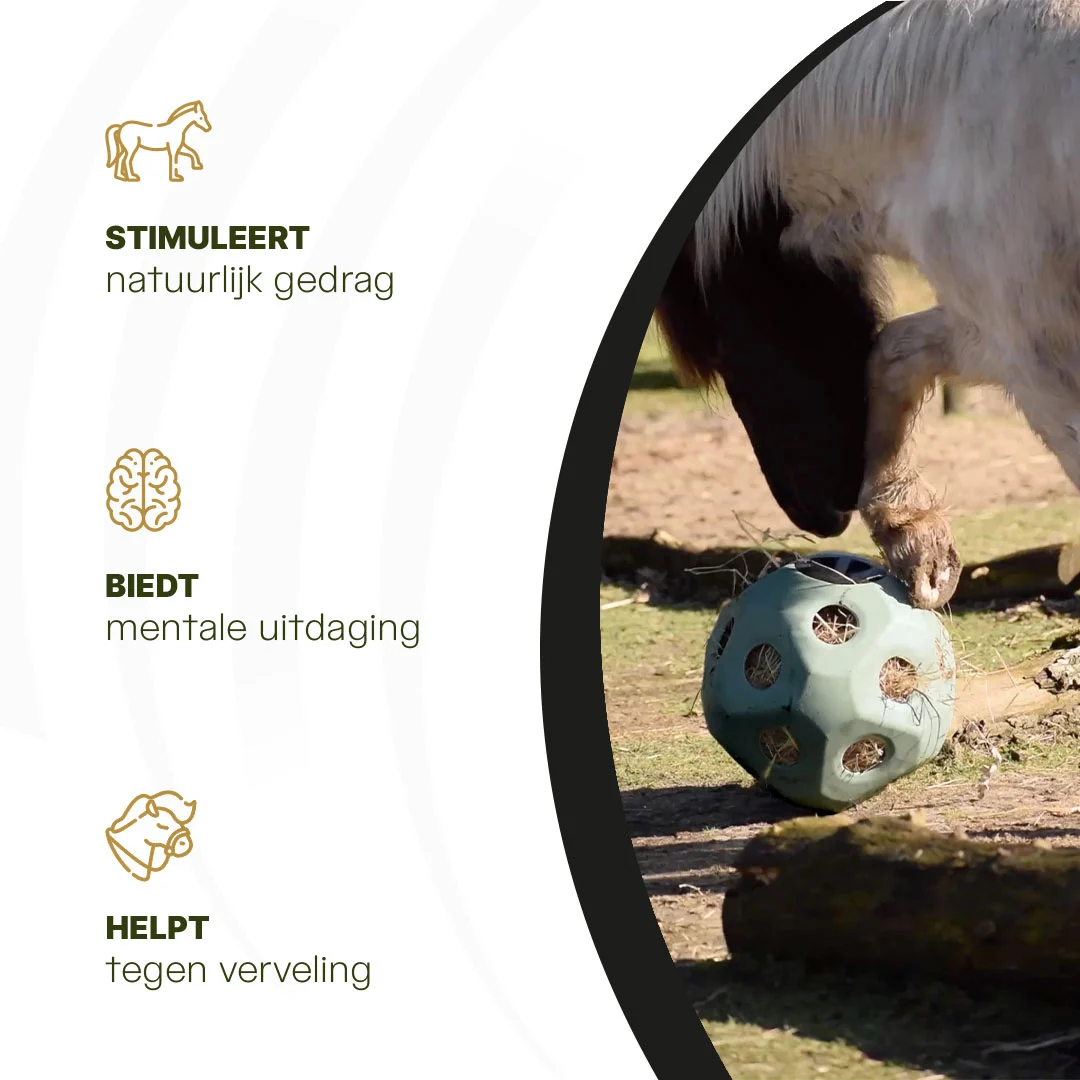 Minge pentru hrană pentru cai, cu orificii, verde – Excellent Horse Feed & Play Ball - imagine 6