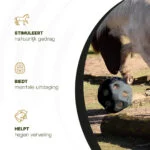 Minge de hrănire pentru cai cu orificii pentru hrană, neagră – Excellent Horse Feed & Play Ball - imagine 6