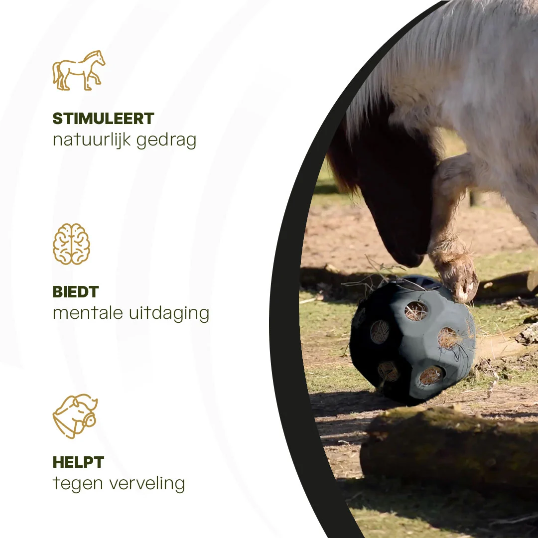Minge de hrănire pentru cai cu orificii pentru hrană, neagră – Excellent Horse Feed & Play Ball - imagine 6