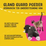 Pulbere suplimentară pentru câini și pisici, cu prebiotice și probiotice – Excellent Pets Gland Guard Poeder - imagine 3