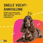 Pastă digestivă pentru animale de companie cu electroliți, 30 ml – Excellent Pets Digestive Support - imagine 5