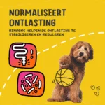 Pastă digestivă pentru animale de companie cu electroliți, 30 ml – Excellent Pets Digestive Support - imagine 6