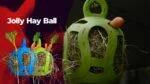 Minge pentru recompense pentru cai, din cauciuc flexibil, verde, 20 cm – Jolly Pets Jolly Hay Ball - imagine 3