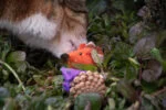 Șoricel de jucărie pentru pisici, din con de pin și pâslă, cu Madnip, portocaliu, 8 cm – Forest Friends Mouse - imagine 3