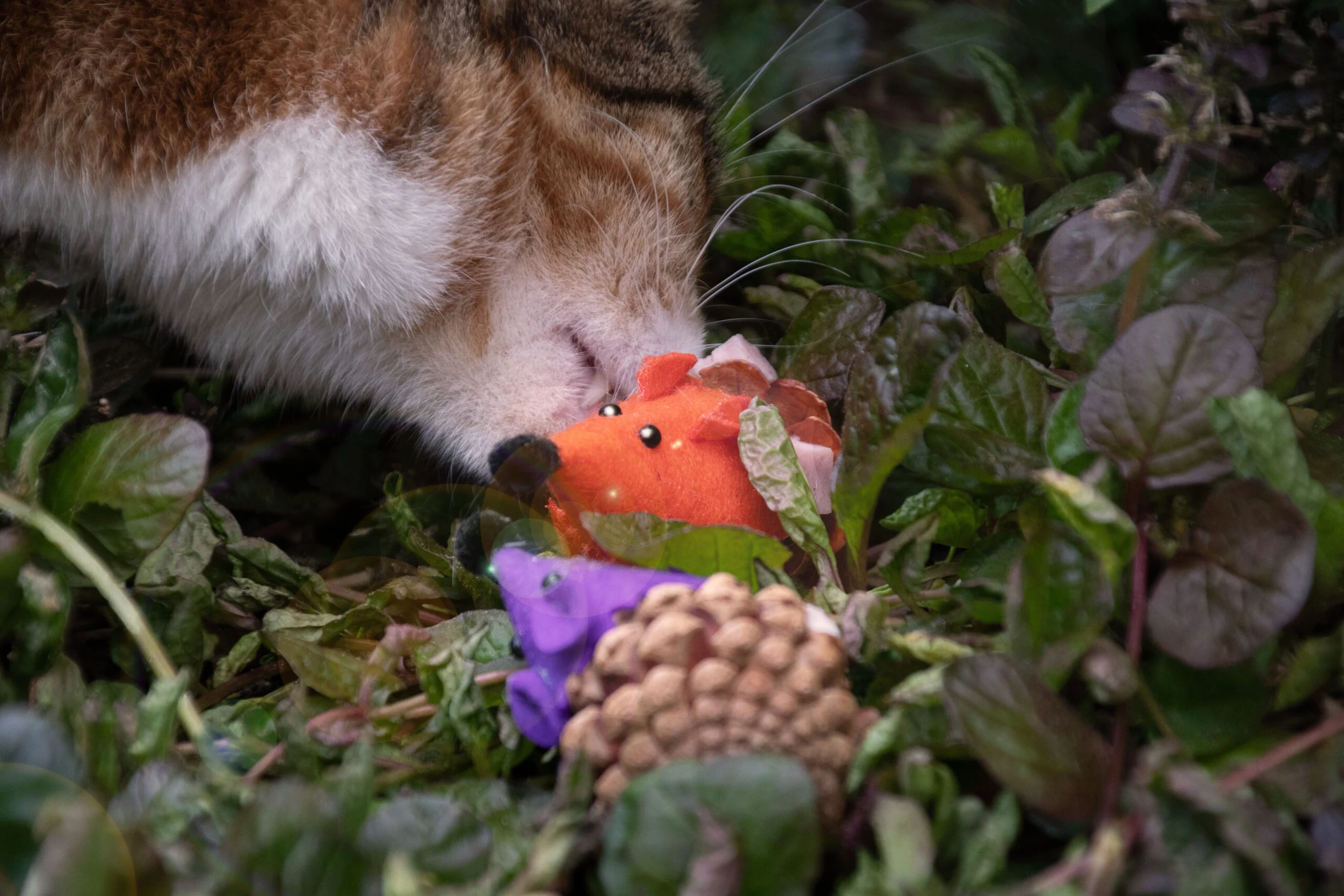 Șoricel de jucărie pentru pisici, din con de pin și pâslă, cu Madnip, portocaliu, 8 cm – Forest Friends Mouse - imagine 3